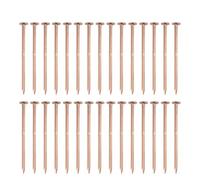 Wodsty 65mm and 75mm Copper Nails for Killing Tree Stumps and Roots, Stump Removal Spikes, 20-50 PCS Hardware for Garden and DIY Projects