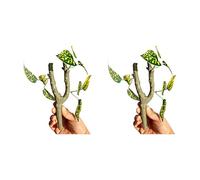 Woedpez 2PCS Realistic Rainforest Climbing Branch for Reptiles Terrariums with Natural Design Safe Resin for Landscape Decors Realistic Climbing Vine for Reptiles Terrariums