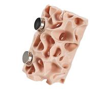 Woedpez ABS Ventilated Enclosure for Jumping Spiders with Climbing Tunnel Promoting Exploration and Growth Innovative Pet House