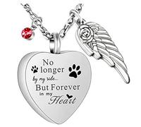 Woedpez Memorial Heart Wing Necklace in Stainless Steel for Ashes Hair or Perfumes Accessory for Rememberings Lovers Everyday Wear Memorial Pendant