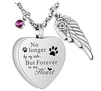 Woedpez Memorial Heart Wing Necklace in Stainless Steel for Ashes Hair or Perfumes Accessory for Rememberings Lovers Everyday Wear Memorial Pendant