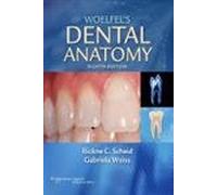 WOELFEL'S DENTAL ANATOMY 7E: .