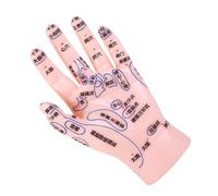WOFASHPURET Hand Reflexology Model with Accurate Acupuncture Points for Teaching Realistic Hand Zone Simulation Educational and Massage Training Aid