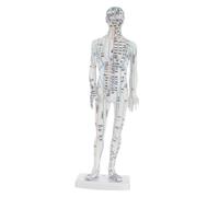 WOFASHPURET Human Acupuncture Model Male Simulation Body Model with Detailed Pressure Points and Meridians for Chinese Medicine Teaching Acupoint Training Clinical Use and Massage Study