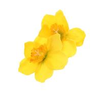 WOFASHPURET Narcissus Hairpin Faux Daffodil Design Elegant Side Bangs Clip for Weddings and Parties for Women and Girls Tame Loose Strands and Frizzy Bangs Style