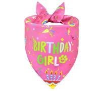 WoffBow Large Dogs Birthday Bandana Girl - Reversible Photo Ready Design, Pink Confetti Party & Gentle Pet Celebration Accessories (Pink, Large)