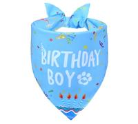 WoffBow Large Dogs Birthday Bandana Girl - Reversible Photo Ready Design, Pink Confetti Party & Gentle Pet Celebration Accessories (Blue, Large)