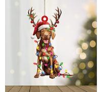 WoGuangis Christmas Ornament Vizsla Holiday Keepsake Acrylic Christmas Ornament Vizsla Dog Lanterns Christmas Antlers Christmas Hanging Ornament Dog Pet Portrait Ornaments New