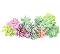 WOHSEROM 12 Pack Realistic Flocked Artificial Succulents, Faux Plastic Succulents Mini Fake Plants for Garden Craft, Cake, Party, Indoor/Outdoor Decor (Unpotted, PVC, Lifelike Details)