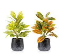 WOHSEROM 2 Pack Realistic Artificial Potted Plants Codiaeum Variegatum, 11.8" Small Faux Greenery for Desk, Bathroom, Office, or Home Decor (Evergreen, Maintenance Free)