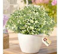 WOHSEROM Babys Breath Artificial Flowers - 12 Bundles UV Resistant Hyper Realistic Faux Plants Gypsophila for Outdoor Porch Planters, Wedding, Garden Decoration (White)