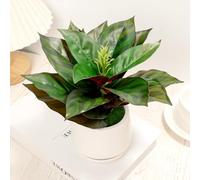 WOHSEROM Realistic Artificial Potted Desk Plant Faux Calathea in Ceramic Pot, 8.7" Small Faux Greenery Fake Prayer Plant for Desk, Bathroom, Office, or Home Decor (Evergreen, Maintenance Free)