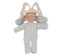 Woideklu Human Female Pelvis Model, Student Birthing Model, Educational Display