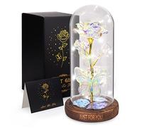 WOKEISE Light Up Rose Butterfly in Glass Dome, Christmas Gifts for Women, Birthday Anniversary Flower Lighted Roses Gifts for Wife,Mom, Grandma,Girlfriend,Girls,Sister,Mothers Day Gifts-Silver