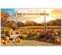 WOLADA Pumpkin Patch Backdrop Autumn Photo Backdrop Fall Photography Background 7x5FT FW119