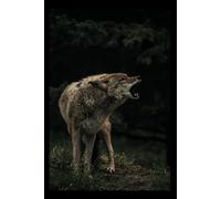 Wolf - Animals Of The World - Checkered Notebook: Animals grid notebook for children, teenagers and adults for drawing, counting and writing (black ... 110 pages, grid, 6x9), (Animals of the Word)