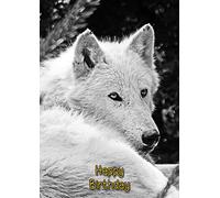 Wolf Birthday Card