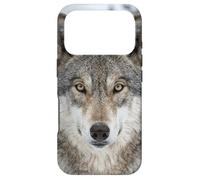 Wolf Close Up Portrait Wild Animal Forest Scene Case for iPhone 17 Pro