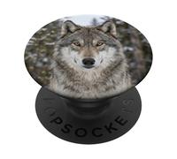 Wolf Close Up Portrait Wild Animal Forest Scene PopSockets Adhesive PopGrip
