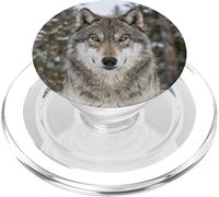 Wolf Close Up Portrait Wild Animal Forest Scene PopSockets PopGrip for MagSafe