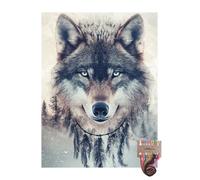 Wolf Dream Catcher 11CT Pre-Printed Cross Stitch Kits for Adults & Beginners, Pattern Needlepoint Kit Crafts for Home Decor Gifts 12x16 Inch 10346