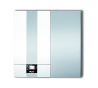 Wolf Gas Condensing Boiler CGW-2-24/140L With High Performance Layered Storage