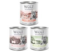 Wolf of Wilderness Junior "Expedition" 6 x 800g - Mixed Pack (2 x Steep Journey, 2 x Stony Creek, 2 x Muddy Routes)