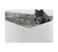 Wolf On The Grass File Folder, Plastic Accordion File Folders with 6 Pockets, Expanding File Organizer with Snap Closure, Portable Document Paper Organizer, Office Supplies Filing Folders