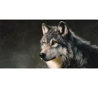 Wolf Paint by Numbers for Adults Animal Painting by Numbers for Children Beginners, DIY Art Craft Paint Hobbies for Adults Women, Home Wall Room Decor, Gifts for Women, 100x300cm Without Frame,-fu362u