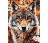 Wolf Paint by Numbers for Adults Animals Painting by Numbers for Aadults Kids, Canvas Oil Paintings with Acrylic Pigment Kits Hobbies for Adults Women for Christmas Decorations Gifts 50x70cm H-55