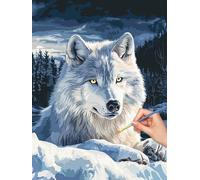 Wolf Paint by Numbers for Adults, DIY Paint by Numbers Animal without Frame, Painting by Number for Adults Beginners, Canvas Kits with Brushes, for Home Wall Decor, Gifts for Women, 50x70cm, -8028