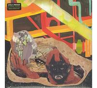 Wolf Parade - At Mount Zoomer [VINYL]