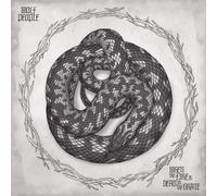 Wolf People - When the Fire Is Dead in the Grate - Vinyl / 12" Album