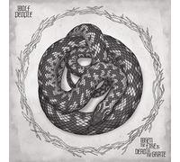 Wolf People - When The Fire Is Dead In The Grate [VINYL]