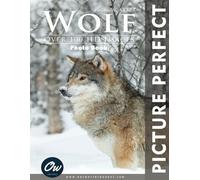 Wolf: Picture Perfect Photo Book