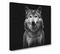Wolf Portrait Canvas Print | Gallery Wrapped 30mm Frame Wall Art | 20x20 inches | Ready to Hang | Modern Animals Picture | Living Room Bedroom Lounge Office