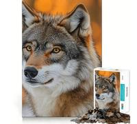 Wolf Portrait in Autumn Forest Jigsaw Puzzles 1000 Mind Skill Play Premium Laser Cut Quality Quiet Time Mind Exercise at Home (38x26cm)