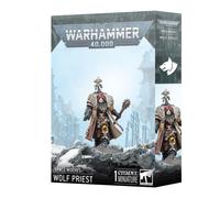 Wolf Priest - Space Wolves Apothecary-Chaplain Hybrid | Warhammer 40K | Warmod