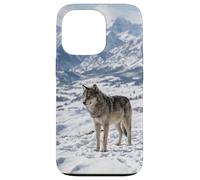 Wolf Snow Mountain Alpine Valley Landscape Photography Case for iPhone 13 Pro