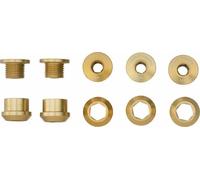 Wolf Tooth Chainring Screw Set 5 Units Golden 6 mm 6 mm Gold