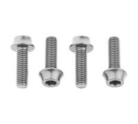 Wolf Tooth Precision Anodized Water Bottle Cage Bolts - 4 Pcs. Silver