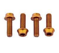 Wolf Tooth Water Bottle Cage Bolts 4 Pack Orange