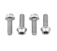 Wolf Tooth Water Bottle Cage Bolts 4 Pack Silver