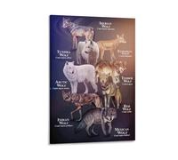 Wolf Type Knowledge Wolf Variety Wall Decoration Poster Animal Encyclopedia Guide Sign Home Farmhouse Office Science House Poster For Bedroom Kitchen Bathroom Living Room Office Decor 24x36inch(60x90c