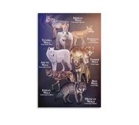 Wolf Type Knowledge Wolf Variety Wall Decoration Poster Animal Encyclopedia Guide Sign Home Farmhouse Office Science House Poster For Bedroom Kitchen Bathroom Living Room Office Decor 24x36inch(60x90c