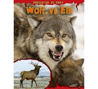 Wolf vs Elk (Predator vs. Prey)