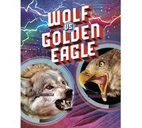 Wolf vs Golden Eagle (Predator vs Predator)