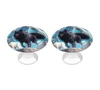Wolf with Wings Under Moon Funny Cabinet Knobs 2 Pack Round Drawer Dresser Pulls Door Handles Knobs for Door Wardrobe