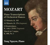 Wolfgang Amadeus M Mozart: Piano Transcriptions of Orchestral D (CD) (US IMPORT)