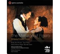 Wolfgang Amadeus Mo Wolfgang Amadeus Mozart: The Marriage of Fi (CD) (US IMPORT)